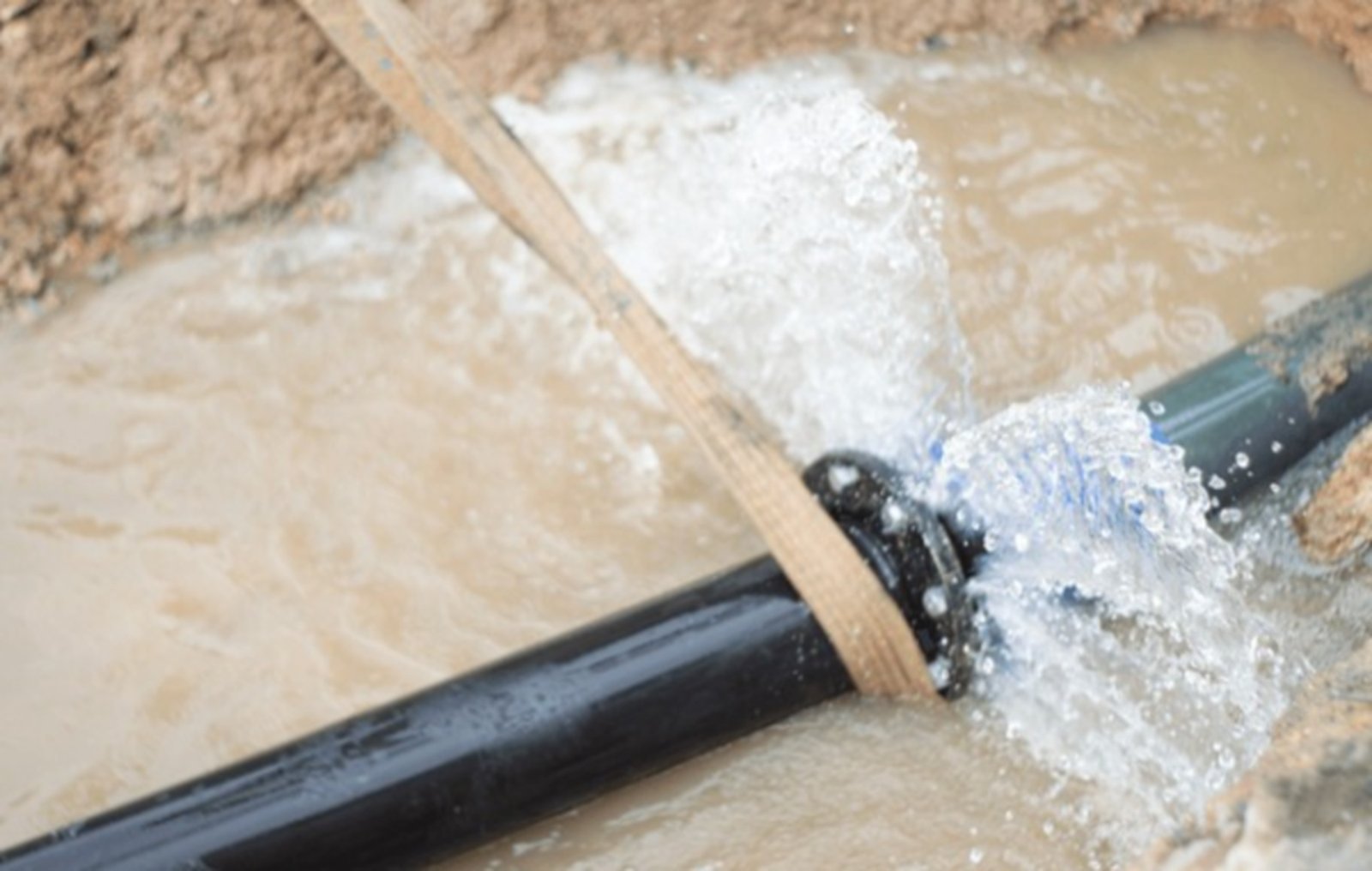 shutterstock 2668916037 clean
