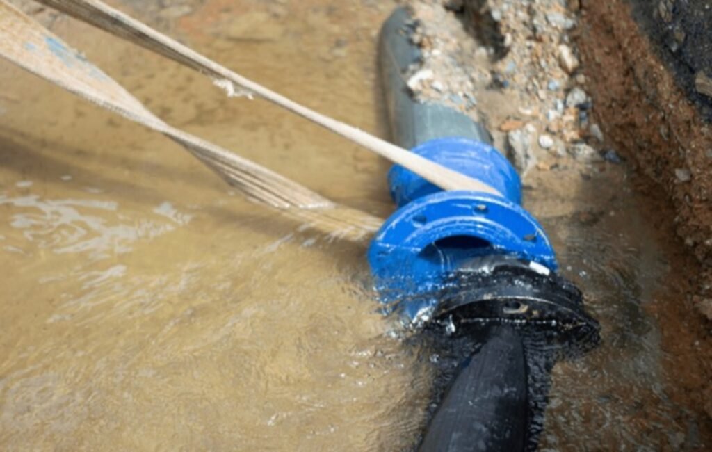 shutterstock 2668916043 clean